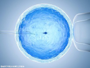 PGT胚胎实验室